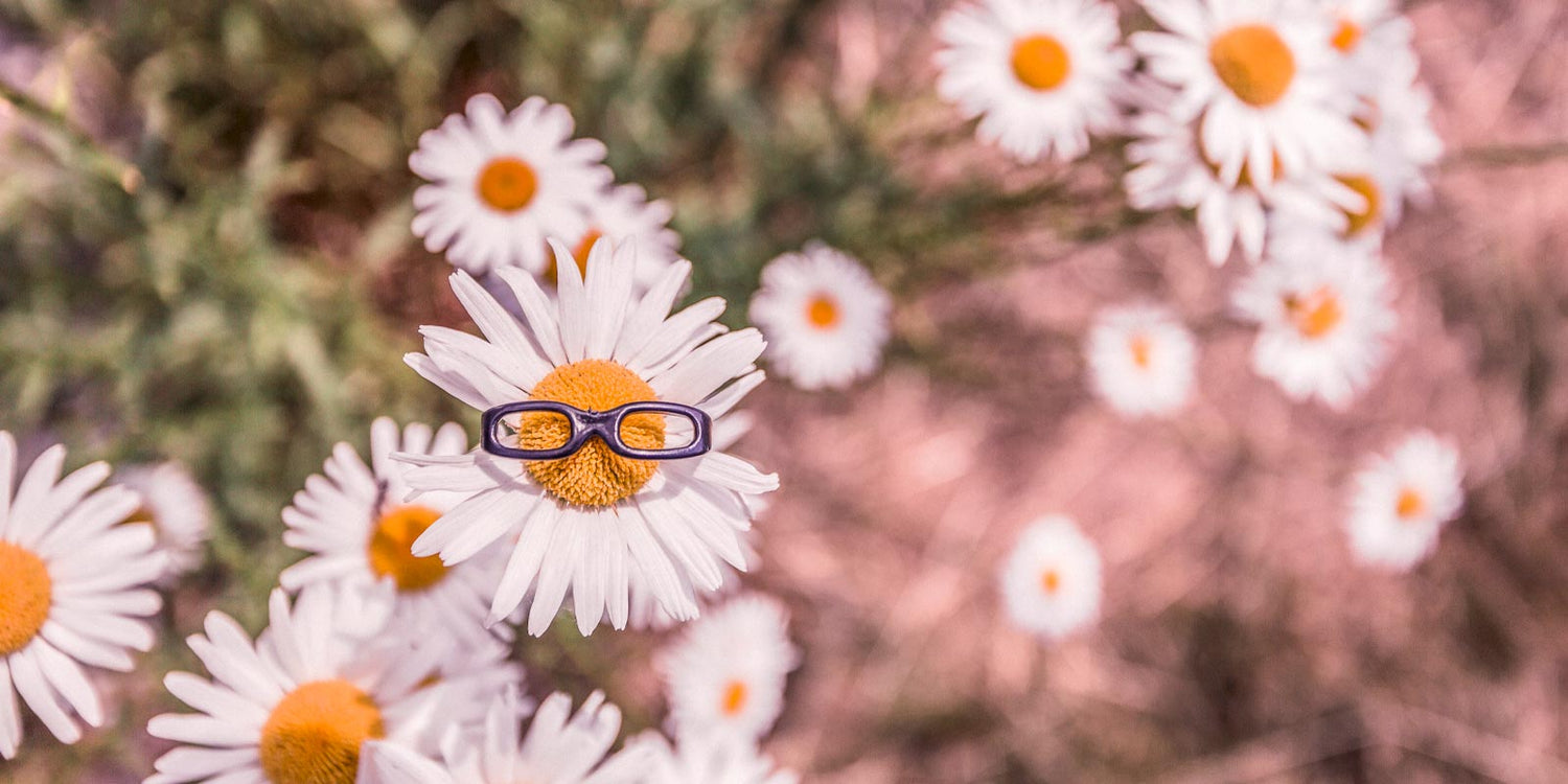 MÖKKIELÄMÄ – HYVÄSSÄ JA PAHASSA