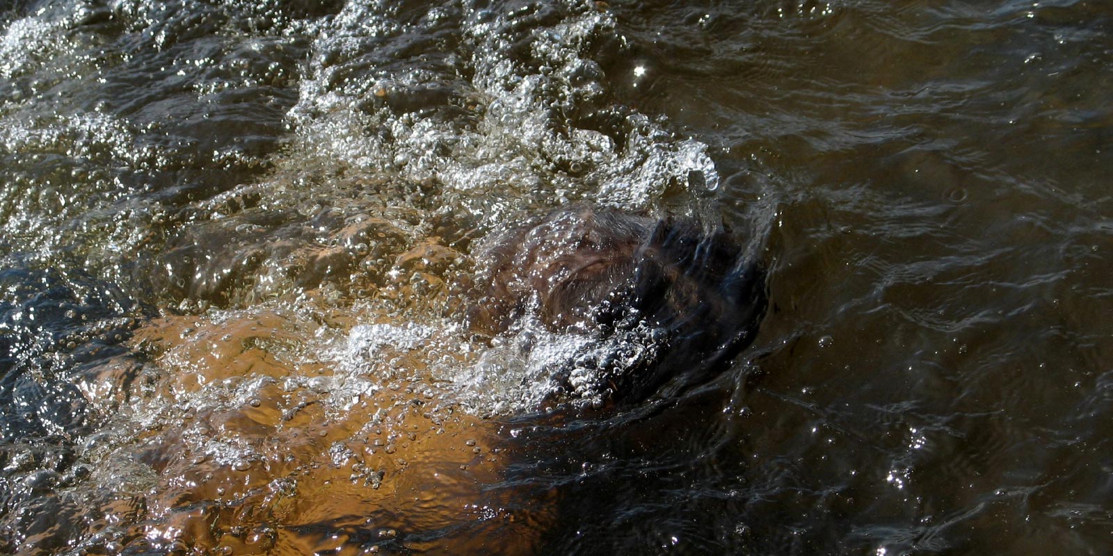 Luonnon keskellä, luonnon ehdoilla