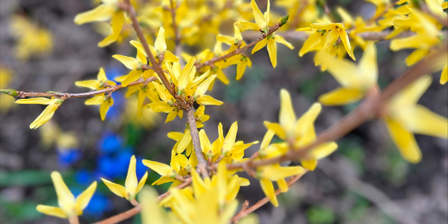 Aamu on ihanaa aikaa